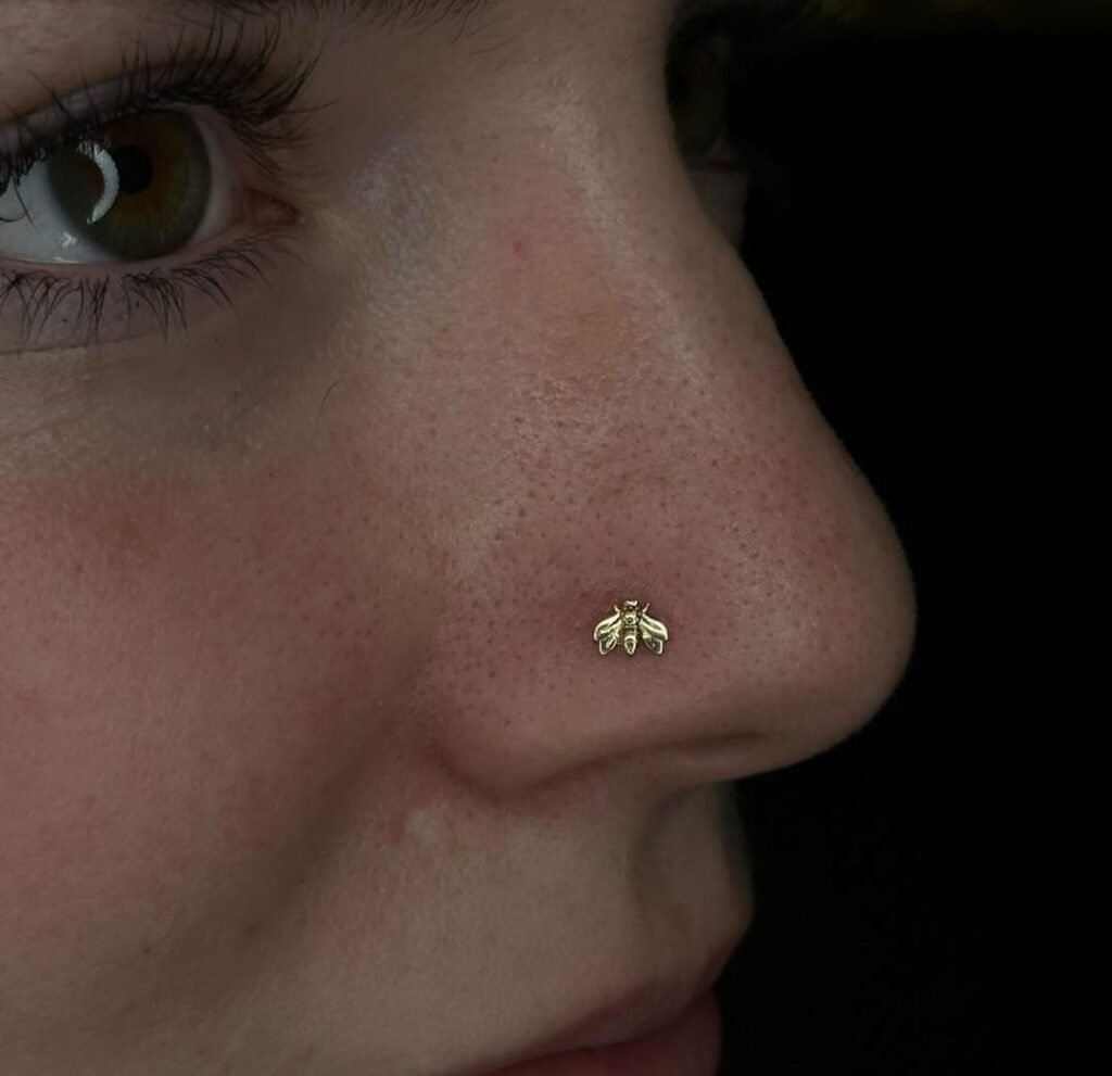 Nose piercing images